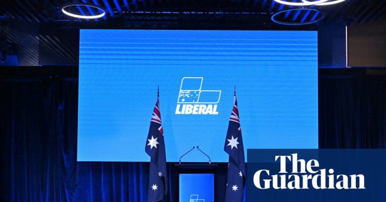 MPs say next Liberal leader faces period of ‘instability’ as recriminations over election bloodbath intensify