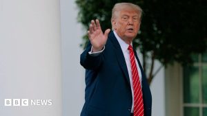 US-UK trade deal: How good is Trump’s deal for America?