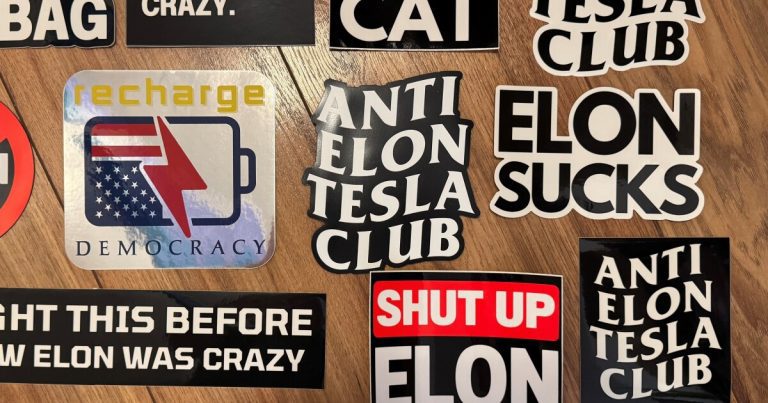 Meet the man who made six figures selling anti-Elon Musk Tesla stickers
