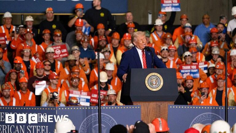 Trump: US to double steel import tariffs to 50%